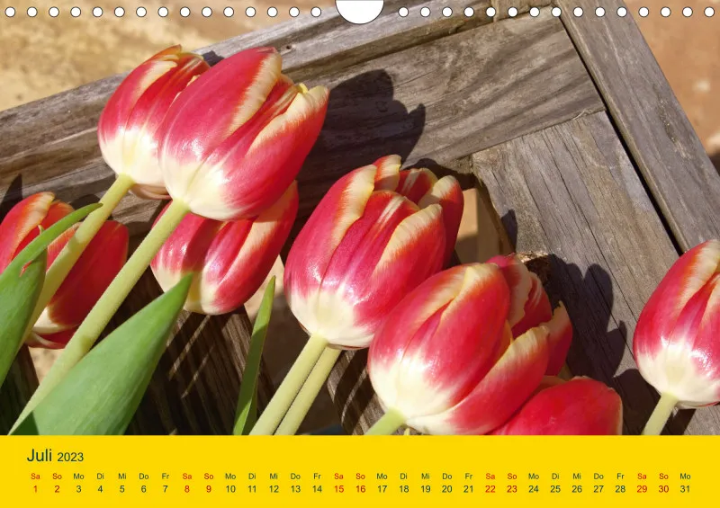 Tulpenkalender