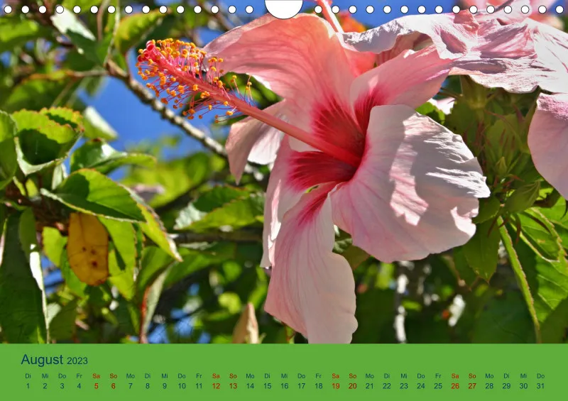 Flower Power