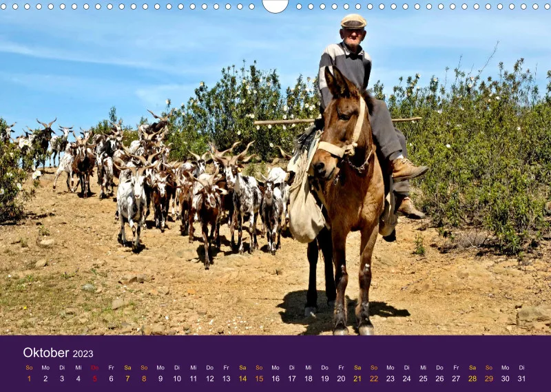 Alentejo em Photos