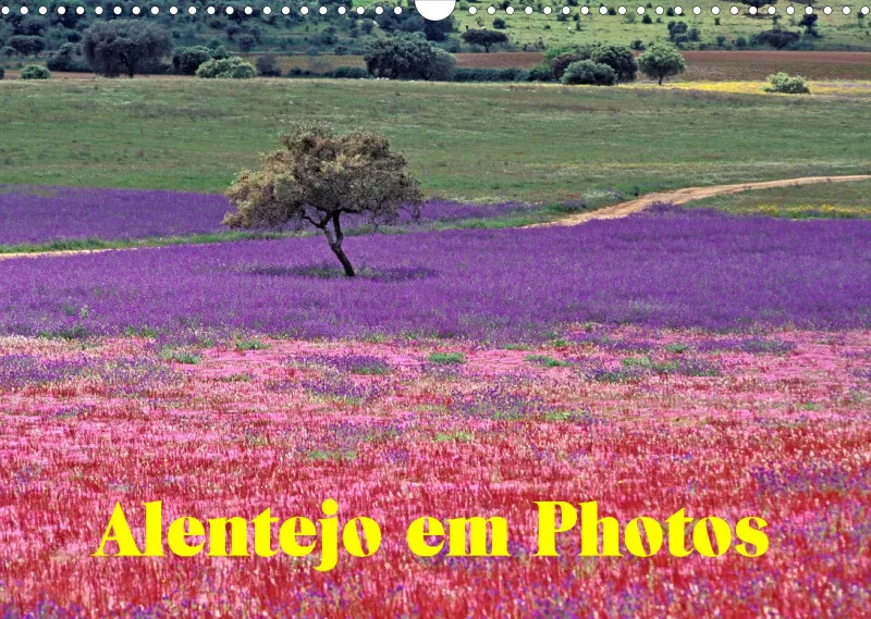 Alentejo em Photos
