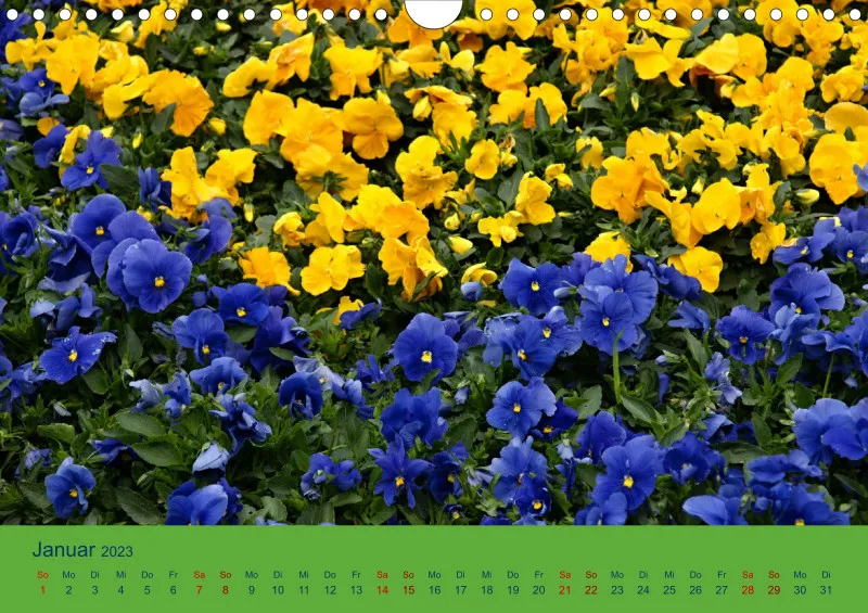 Flower Power