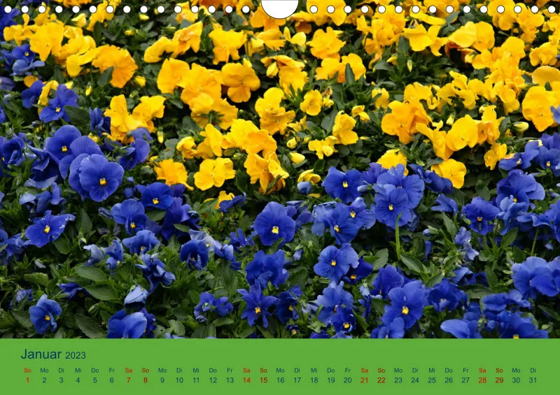 Flower Power