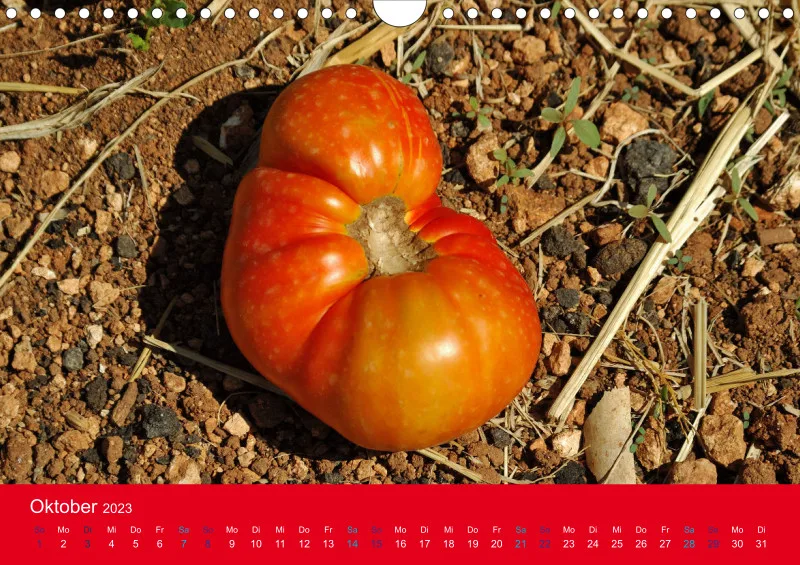 Tomatenkalender