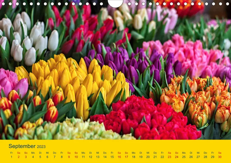 Tulpenkalender