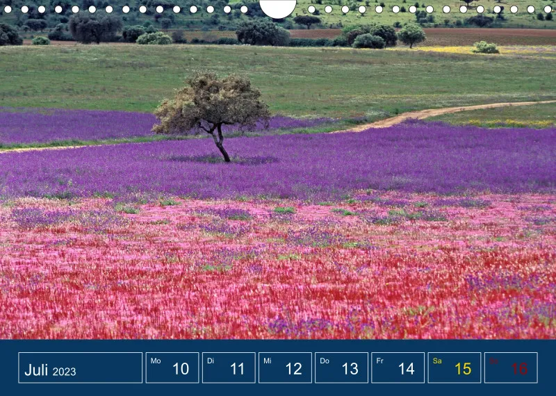 Portugal em Photos
