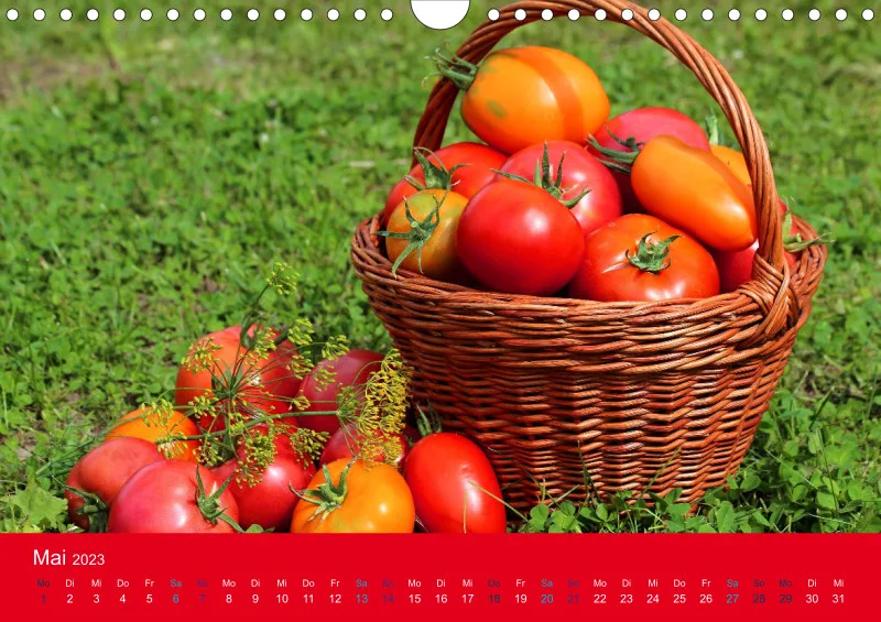 Tomatenkalender