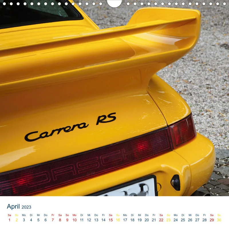 Sexy Rear