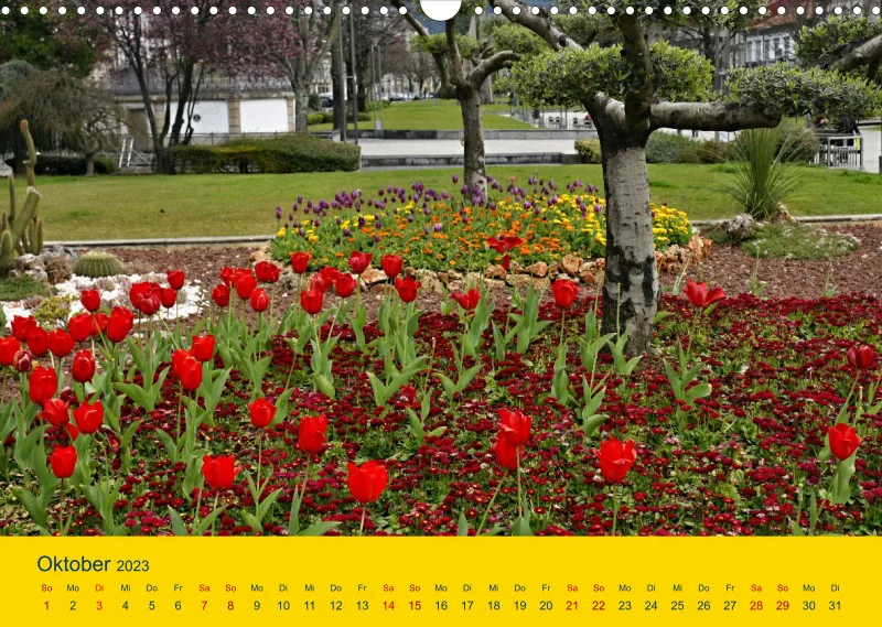 Tulpenkalender