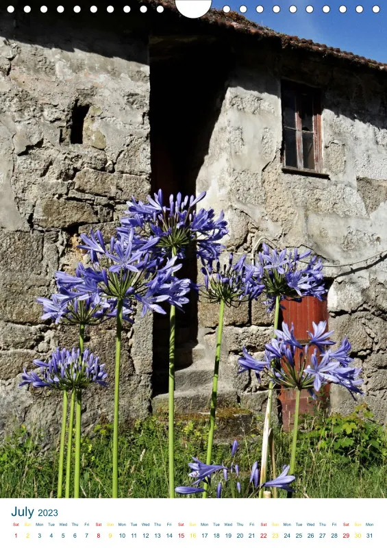 Penafiel e Paredes