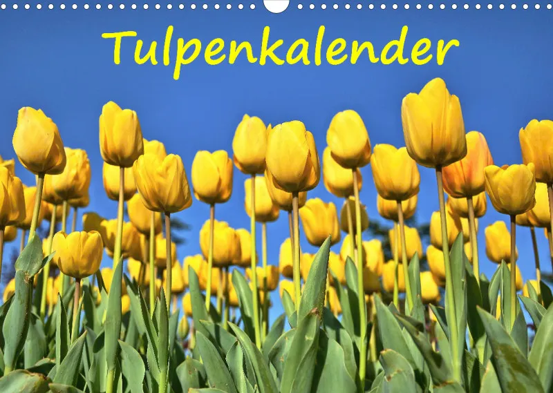 Tulpenkalender