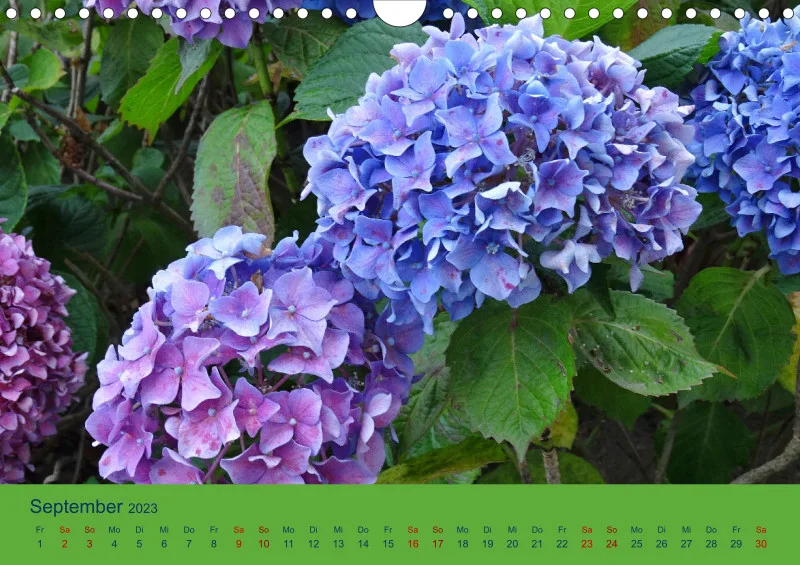 Flower Power