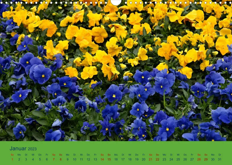 Flower Power