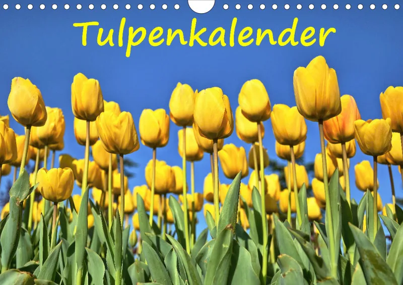 Tulpenkalender