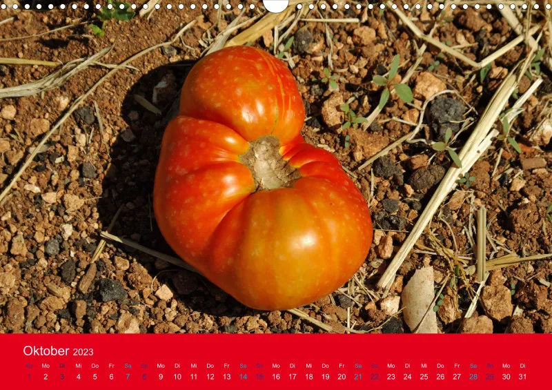 Tomatenkalender