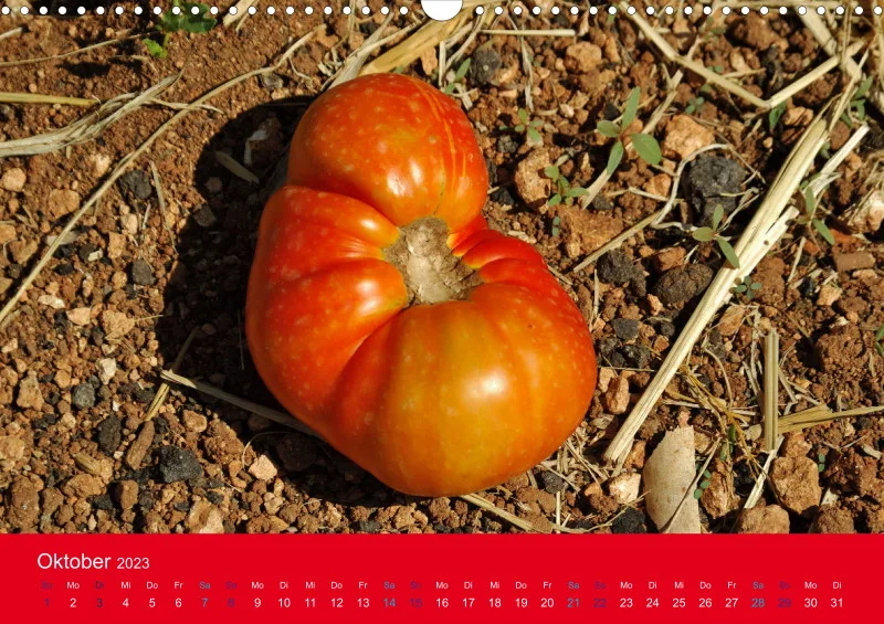 Tomatenkalender