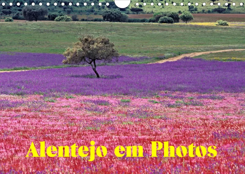 Alentejo em Photos
