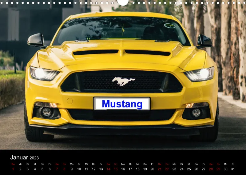 US Cars