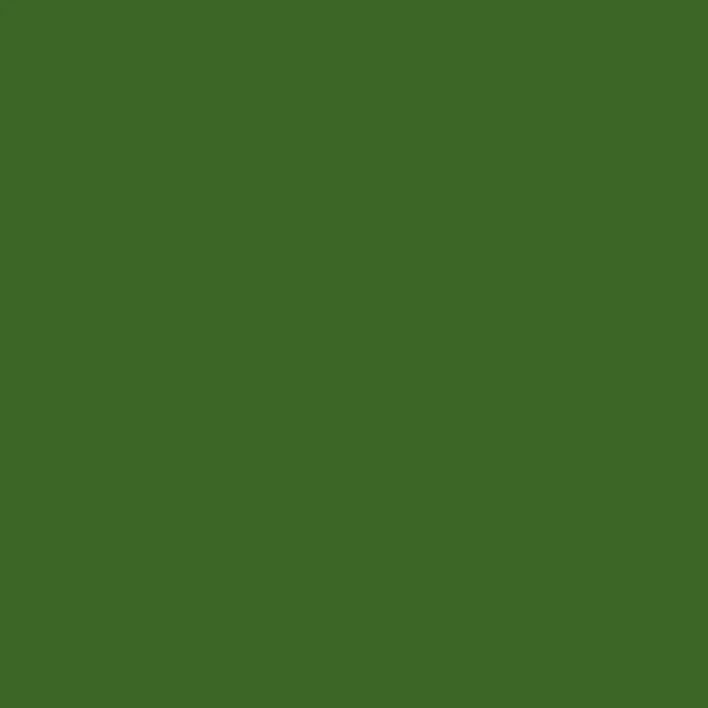 Citroen 2 CV in green