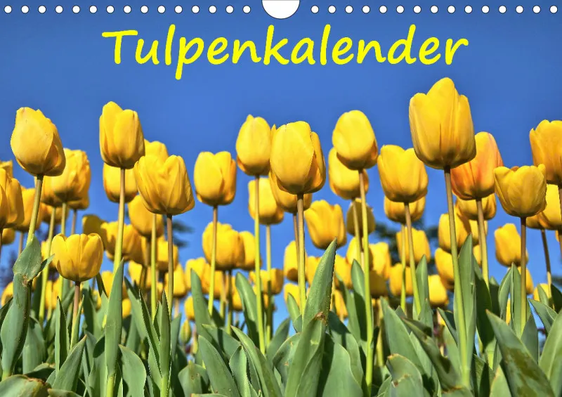 Tulpenkalender