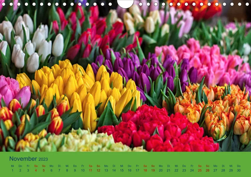 Flower Power