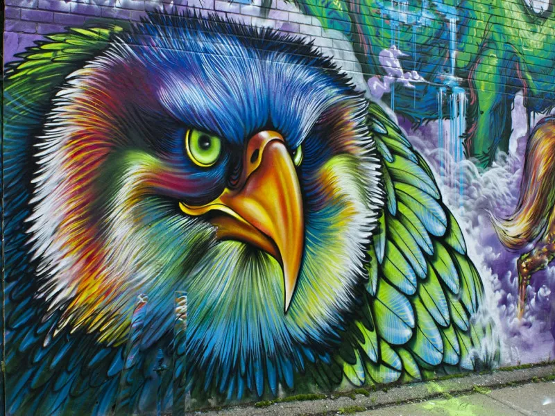 Street Art - Colorful eagle