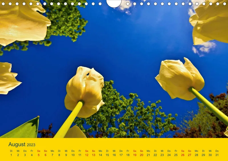Tulpenkalender