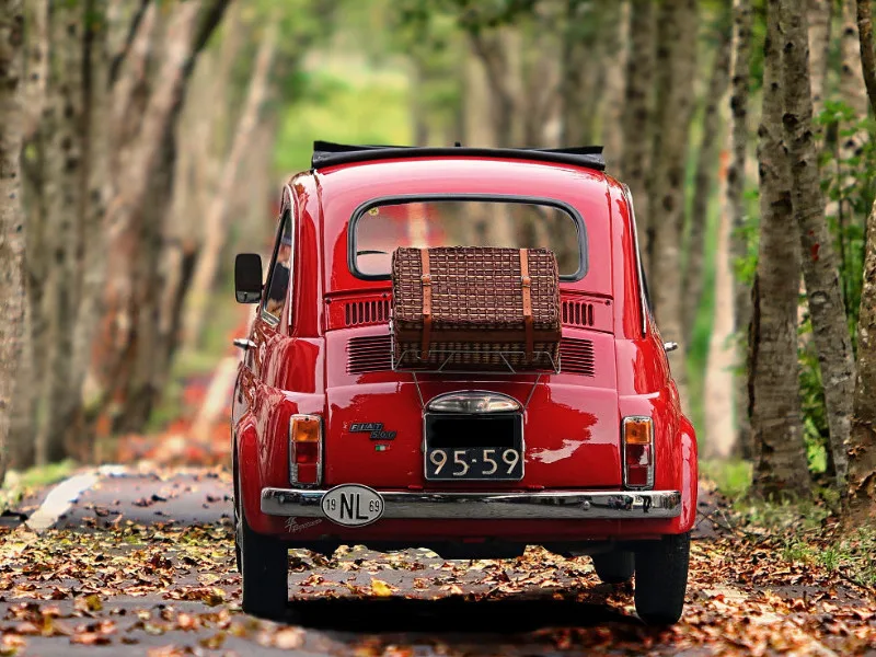 Picnic with Fiat 500