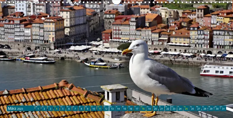 Porto Panoramakalender