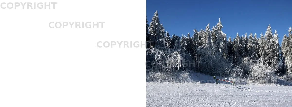Winterwald v2