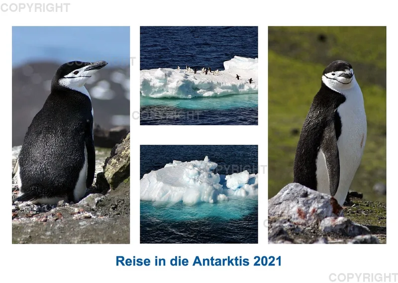 Antarktis 2021 (v1)