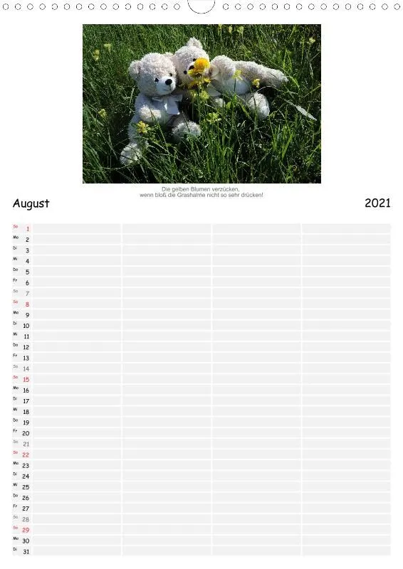 Zwei Bären in der Natur 2021