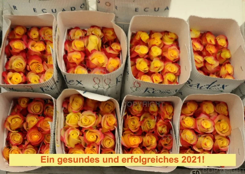 Rosen 2021 (v3 / A4)