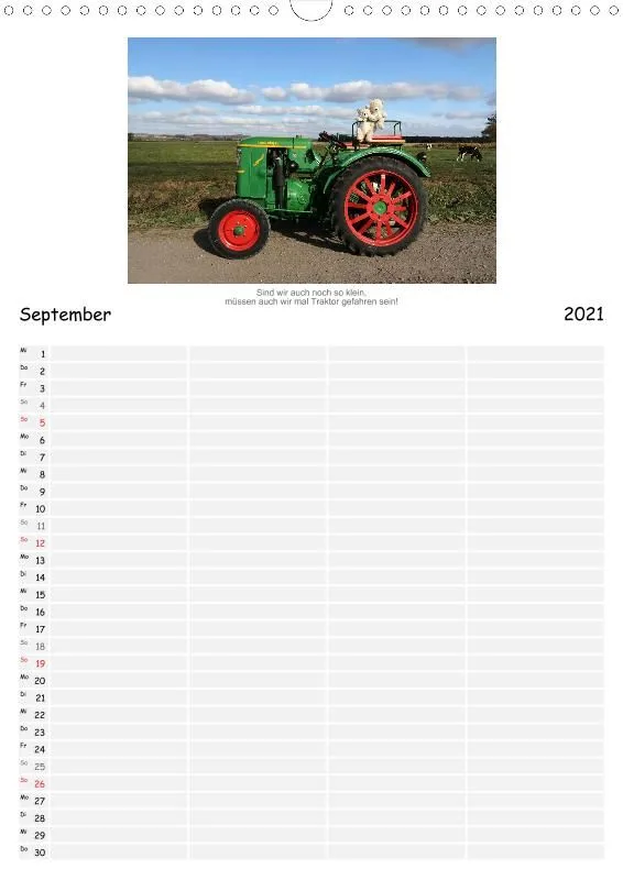 Zwei Bären sind mobil 2021