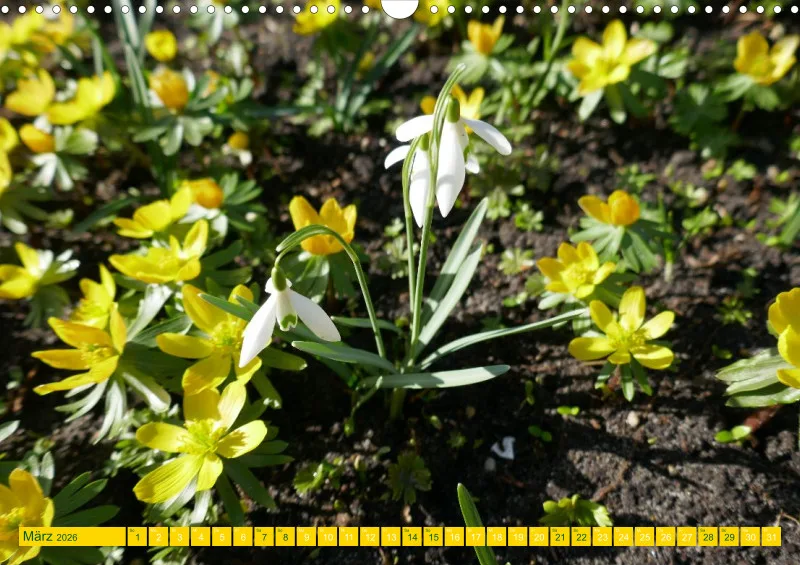 Blumen 2026