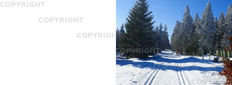 Winterwald v3