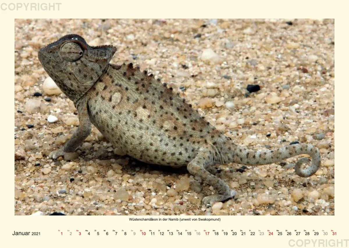 Namibia 2021 (v2)