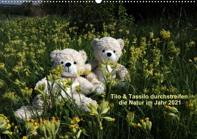 Zwei Bären in der Natur 2021 (A2)