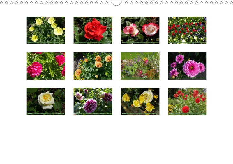 Blumen 2024