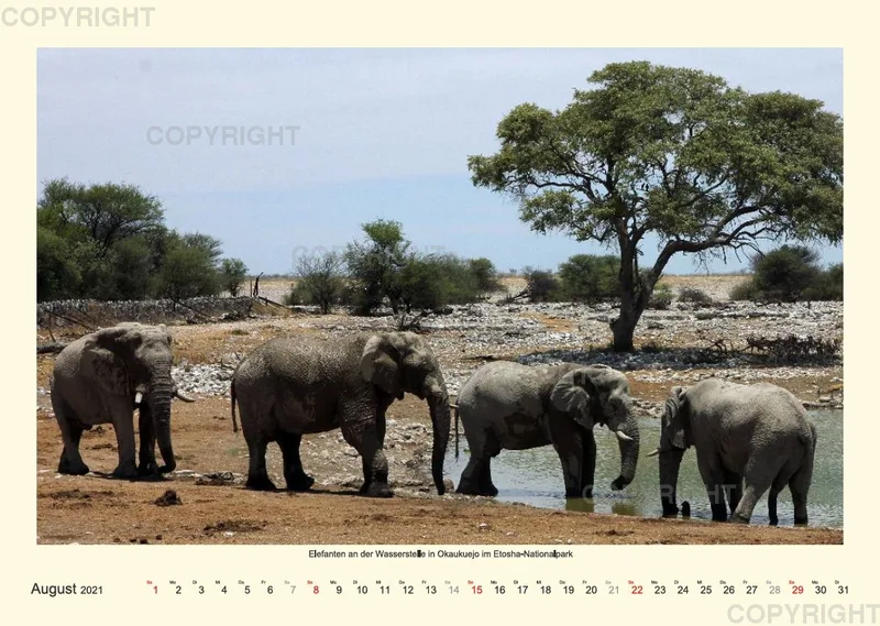 Namibia 2021 (v2)