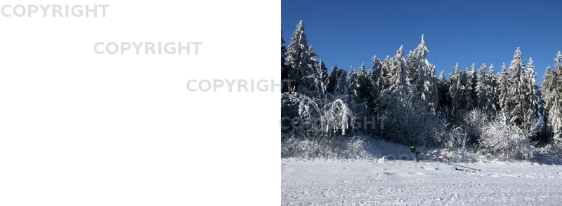 Winterwald v2