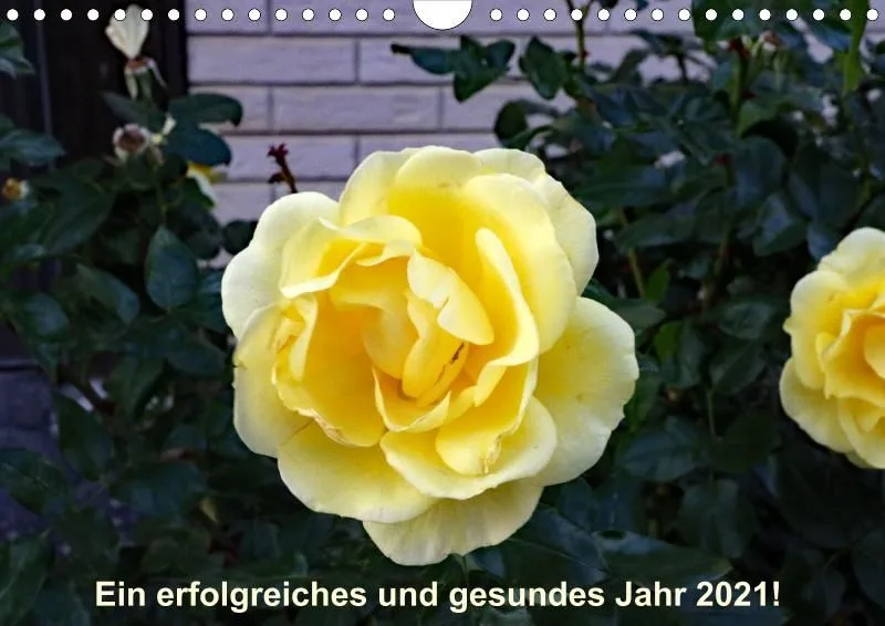 Rosen 2021 (v14 / A4)