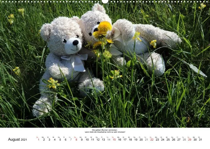 Zwei Bären in der Natur 2021 (A2)