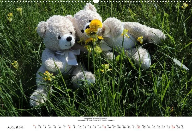 Zwei Bären in der Natur 2021 (A2)
