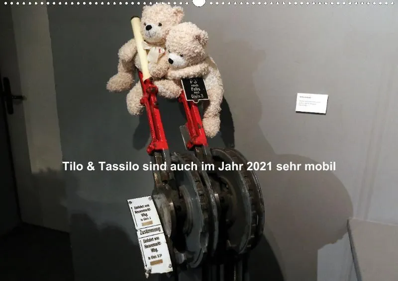 Mit den Bären sehr mobil durch 2021 (A2)
