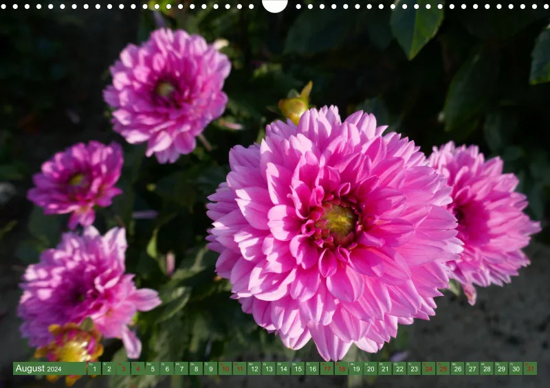Blumen 2024