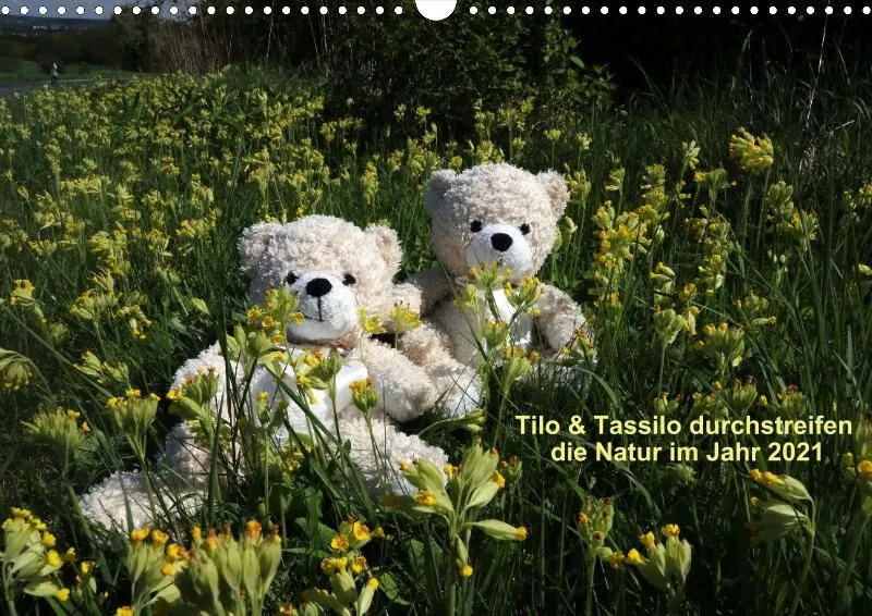 Zwei Bären in der Natur 2021