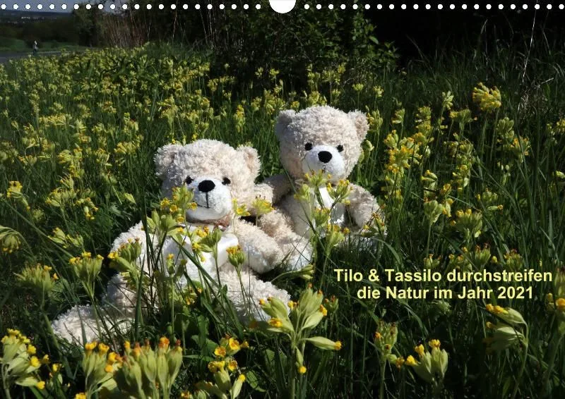 Zwei Bären in der Natur 2021