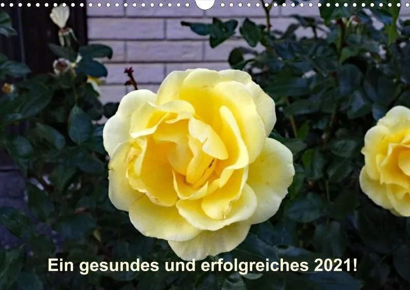 Rosen 2021 (v14)