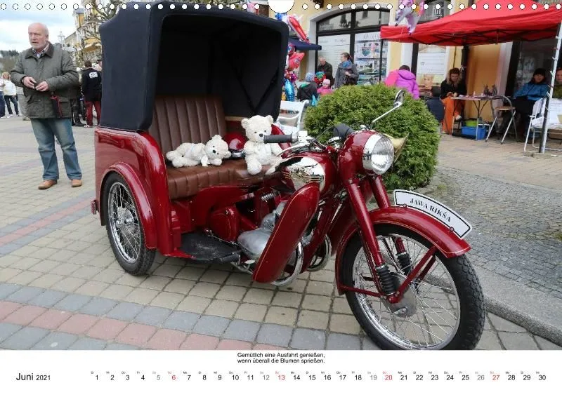 Bären auf kurioser Fahrt durch 2021