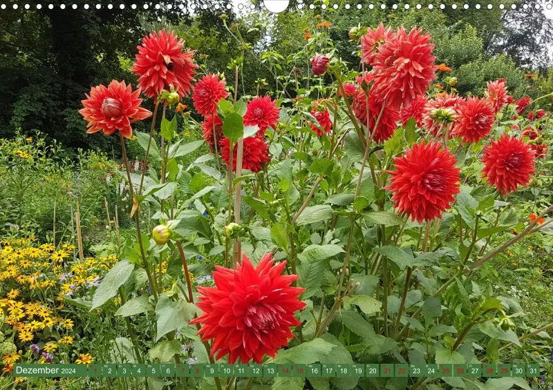 Blumen 2024